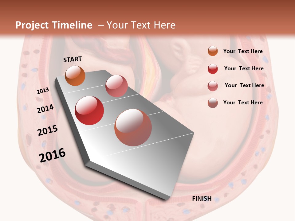 The Inside Of A Human Body With A Baby Inside Of It PowerPoint Template