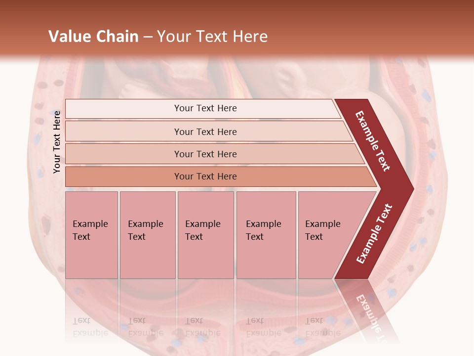 The Inside Of A Human Body With A Baby Inside Of It PowerPoint Template