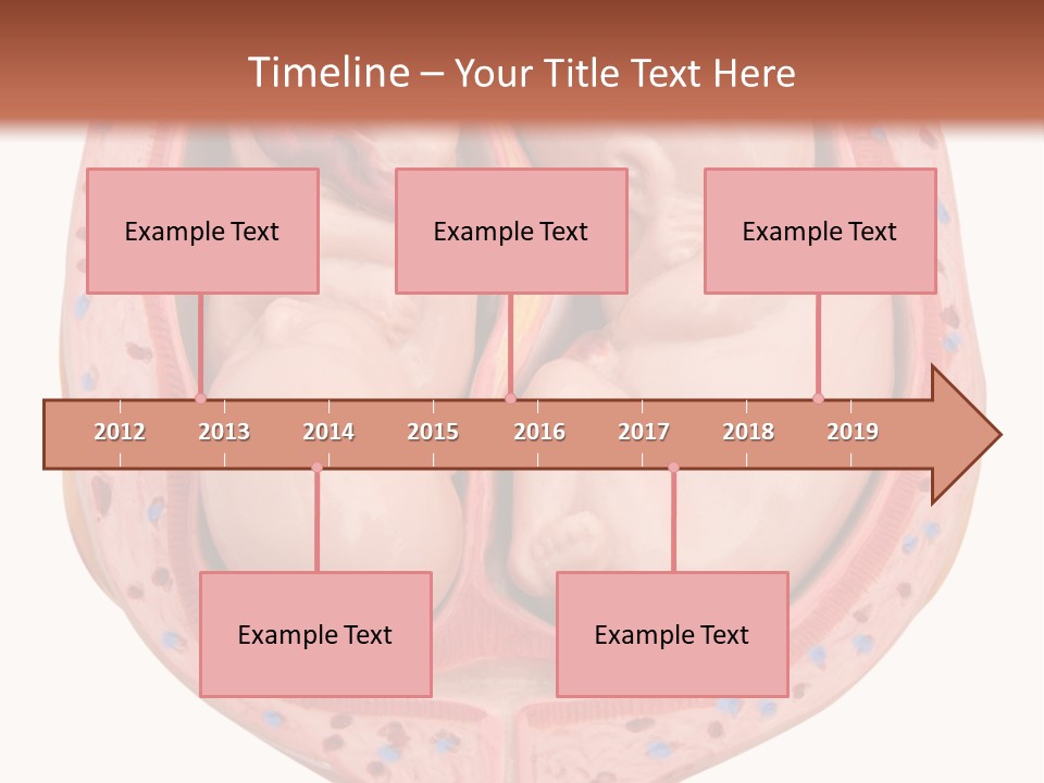 The Inside Of A Human Body With A Baby Inside Of It PowerPoint Template