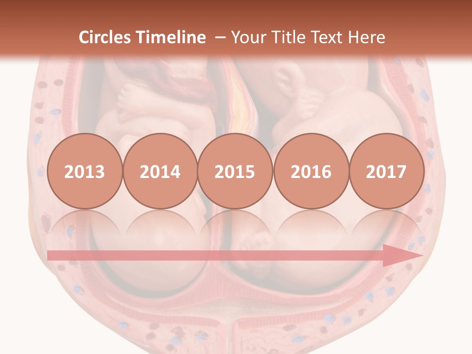 The Inside Of A Human Body With A Baby Inside Of It PowerPoint Template