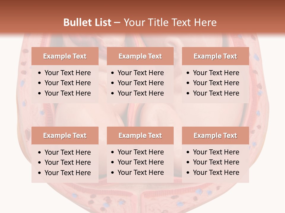 The Inside Of A Human Body With A Baby Inside Of It PowerPoint Template