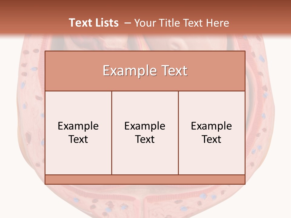The Inside Of A Human Body With A Baby Inside Of It PowerPoint Template