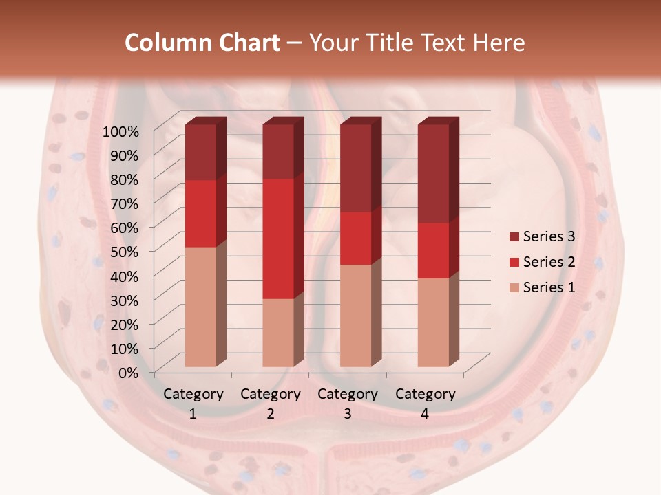 The Inside Of A Human Body With A Baby Inside Of It PowerPoint Template