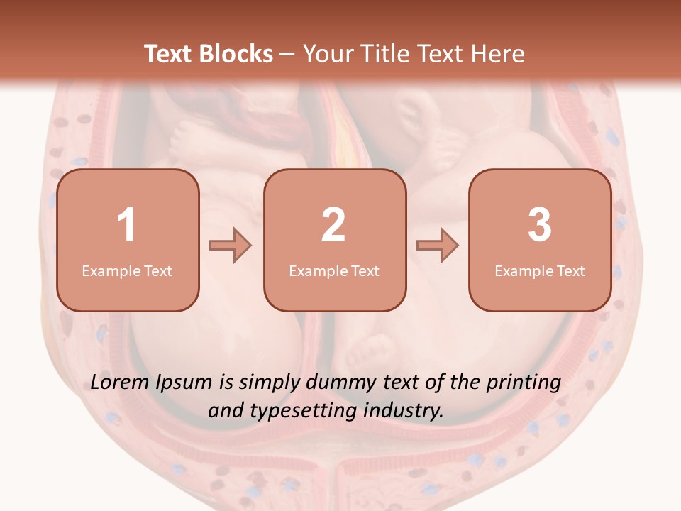 The Inside Of A Human Body With A Baby Inside Of It PowerPoint Template