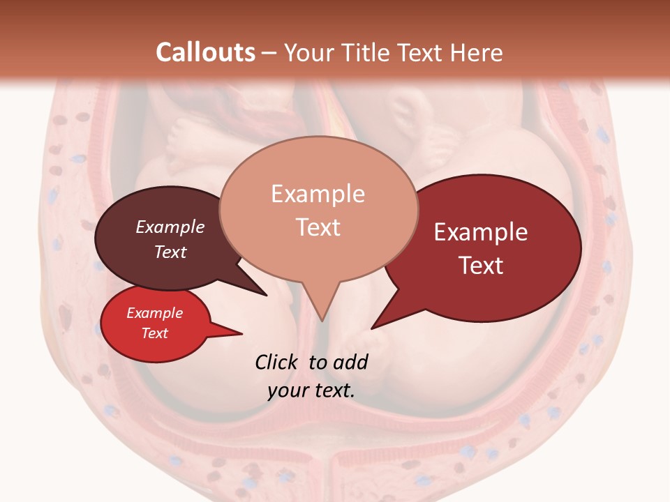 The Inside Of A Human Body With A Baby Inside Of It PowerPoint Template