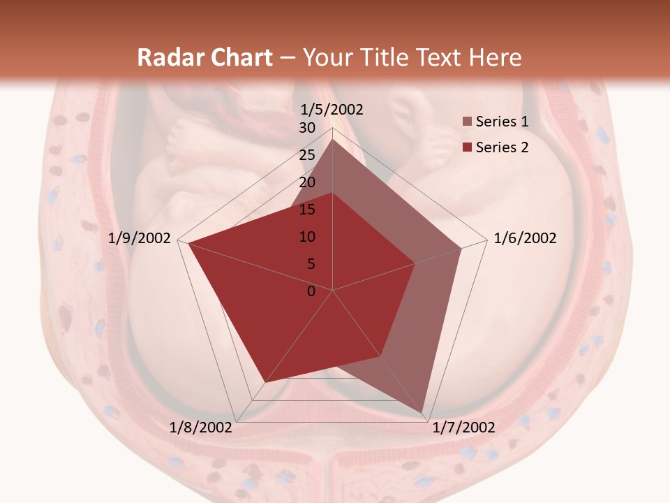 The Inside Of A Human Body With A Baby Inside Of It PowerPoint Template