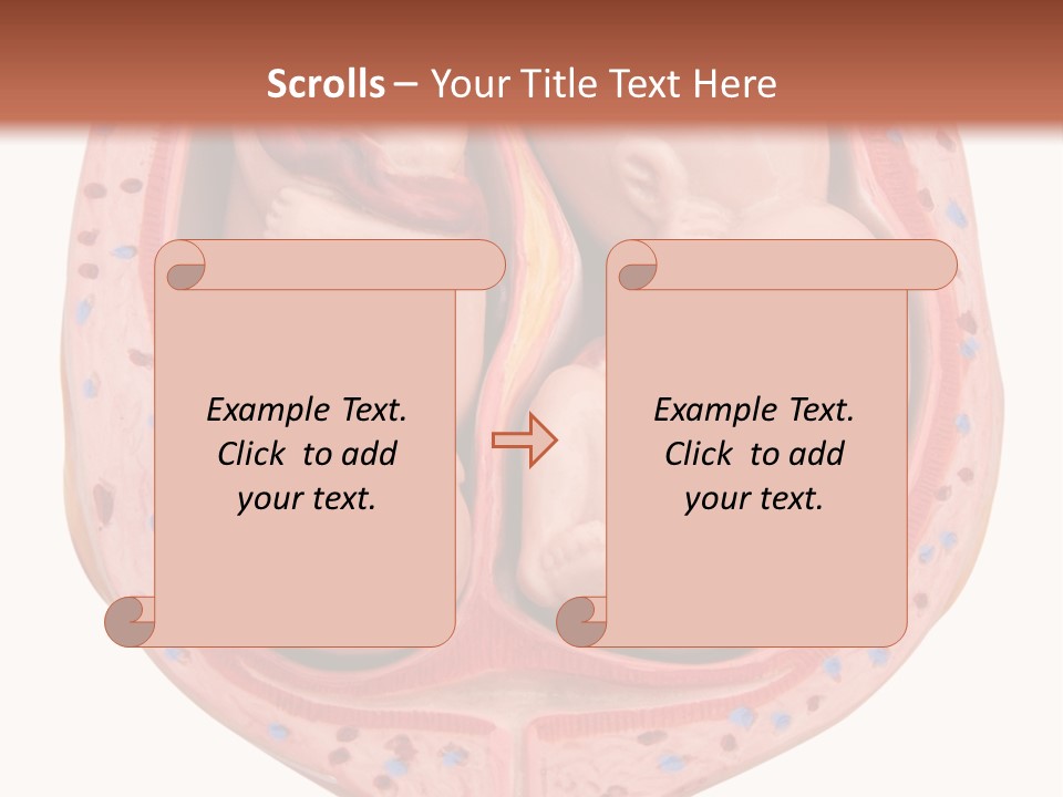 The Inside Of A Human Body With A Baby Inside Of It PowerPoint Template