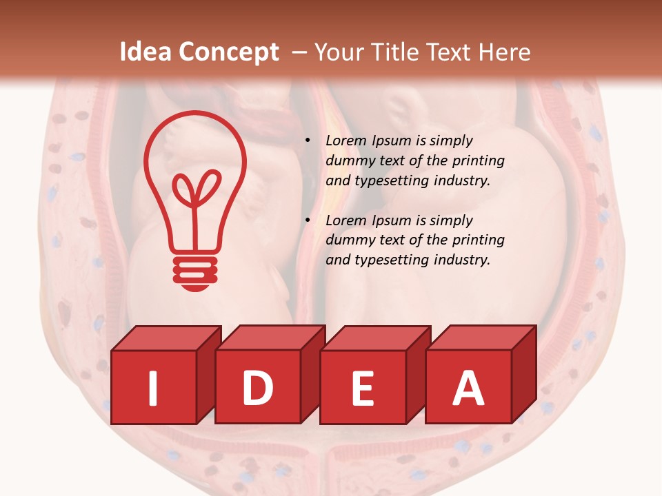 The Inside Of A Human Body With A Baby Inside Of It PowerPoint Template