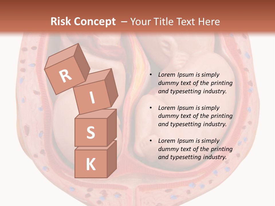 The Inside Of A Human Body With A Baby Inside Of It PowerPoint Template