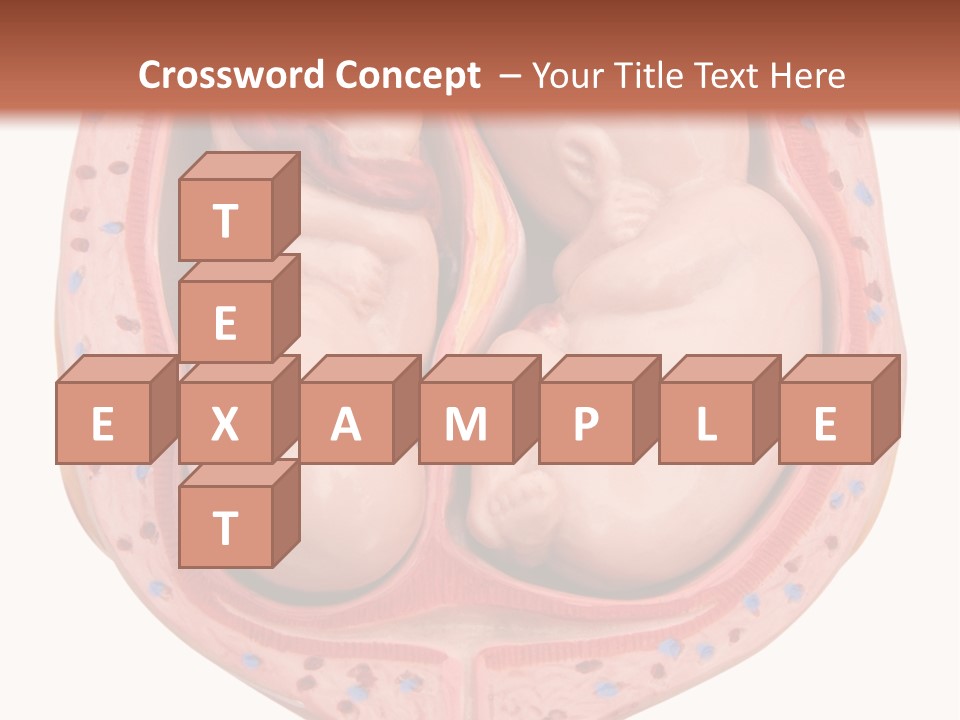 The Inside Of A Human Body With A Baby Inside Of It PowerPoint Template