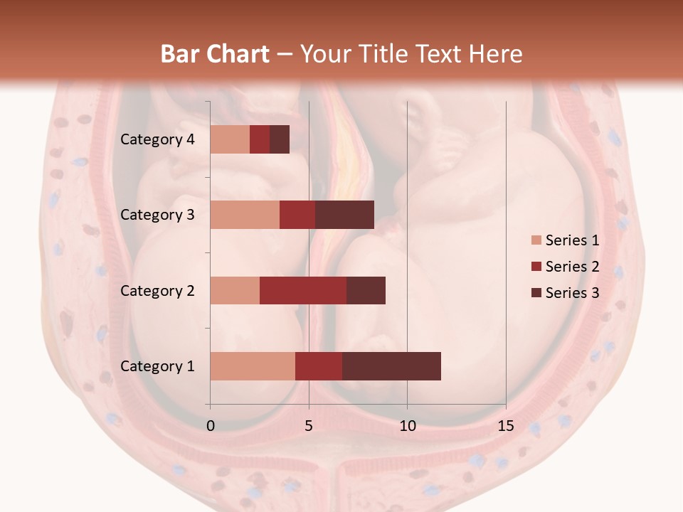 The Inside Of A Human Body With A Baby Inside Of It PowerPoint Template