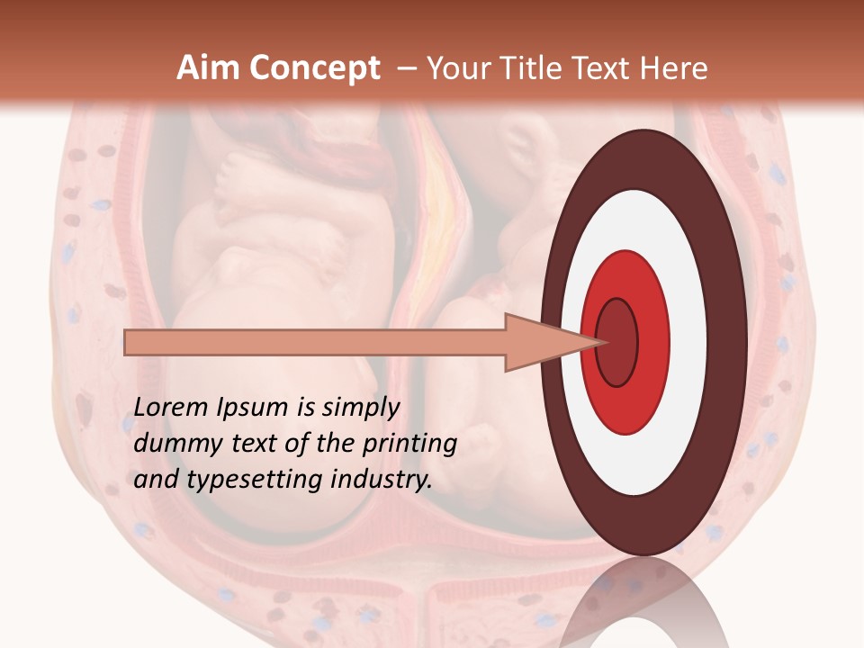 The Inside Of A Human Body With A Baby Inside Of It PowerPoint Template