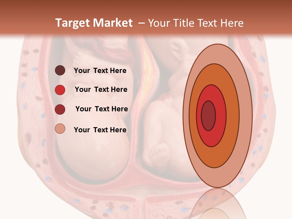 The Inside Of A Human Body With A Baby Inside Of It PowerPoint Template