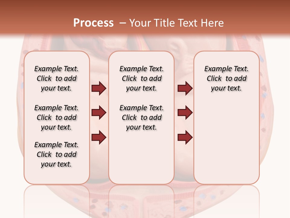 The Inside Of A Human Body With A Baby Inside Of It PowerPoint Template