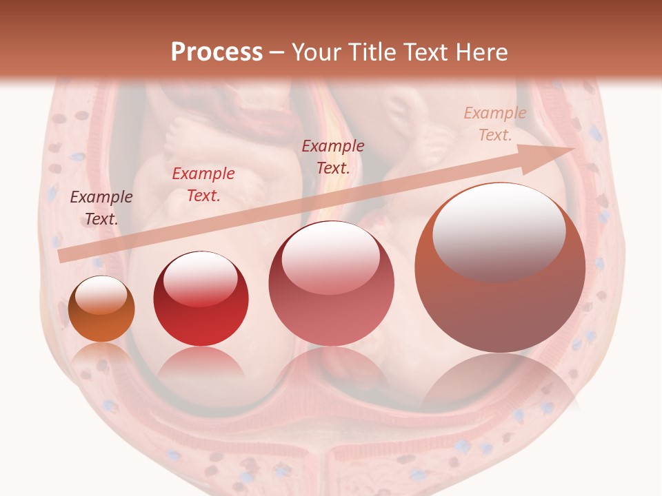 The Inside Of A Human Body With A Baby Inside Of It PowerPoint Template