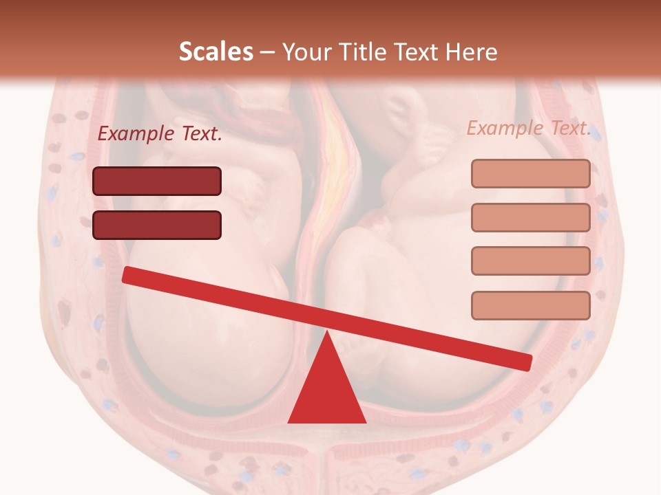 The Inside Of A Human Body With A Baby Inside Of It PowerPoint Template