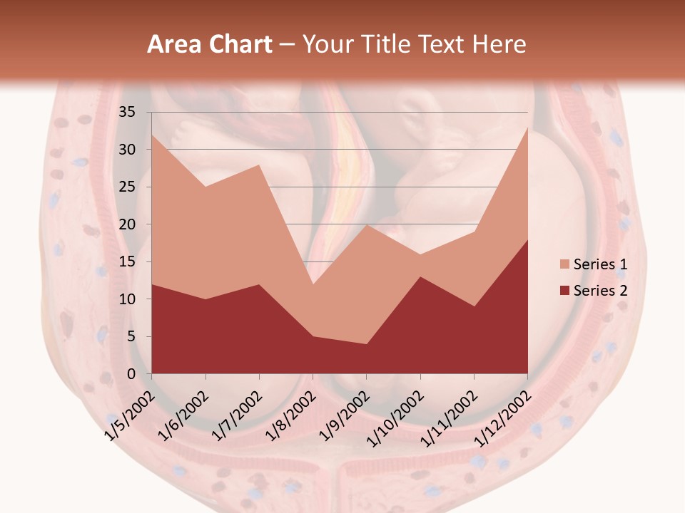 The Inside Of A Human Body With A Baby Inside Of It PowerPoint Template