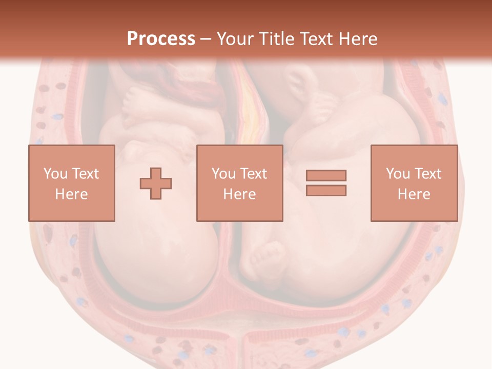 The Inside Of A Human Body With A Baby Inside Of It PowerPoint Template