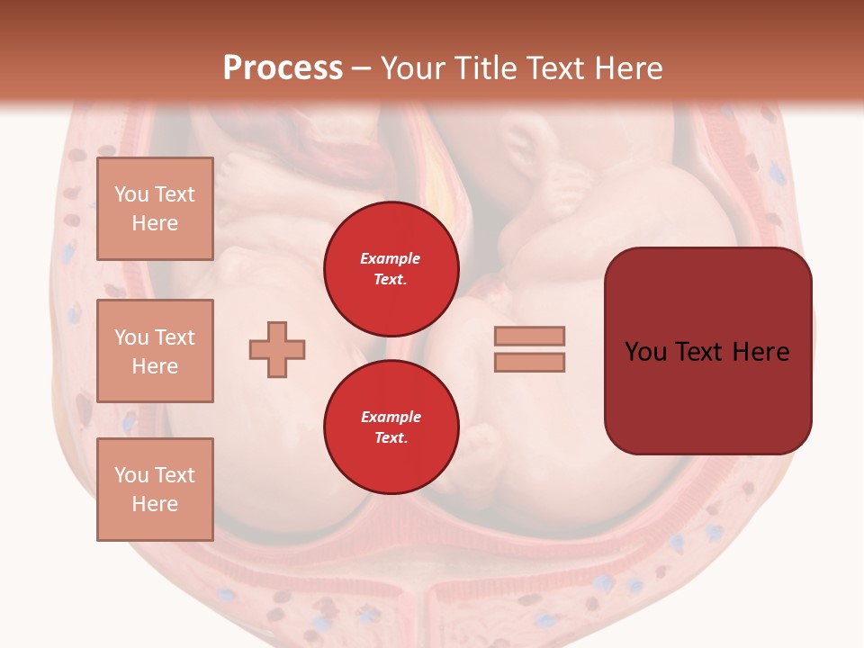 The Inside Of A Human Body With A Baby Inside Of It PowerPoint Template
