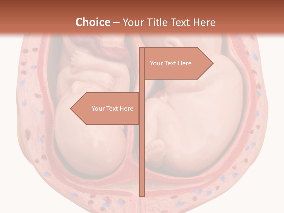 The Inside Of A Human Body With A Baby Inside Of It PowerPoint Template