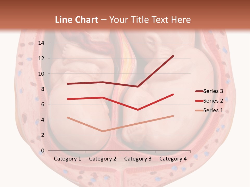 The Inside Of A Human Body With A Baby Inside Of It PowerPoint Template