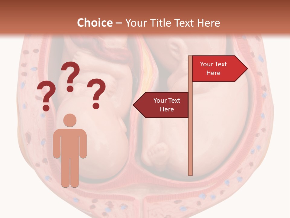 The Inside Of A Human Body With A Baby Inside Of It PowerPoint Template