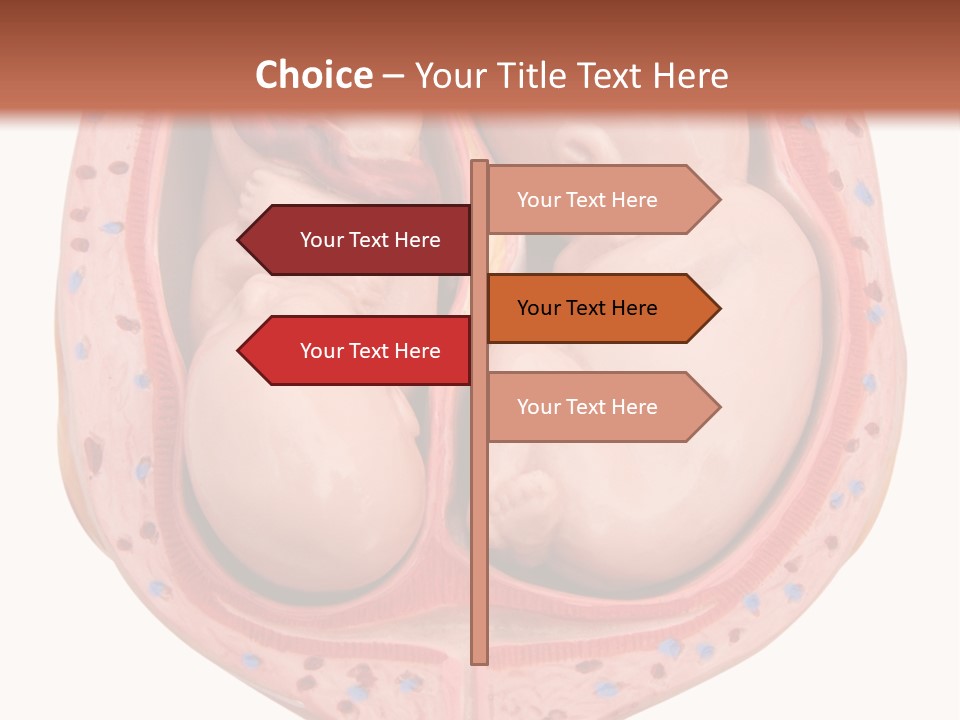 The Inside Of A Human Body With A Baby Inside Of It PowerPoint Template