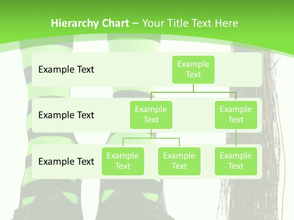 Affectionate Indoors  PowerPoint Template