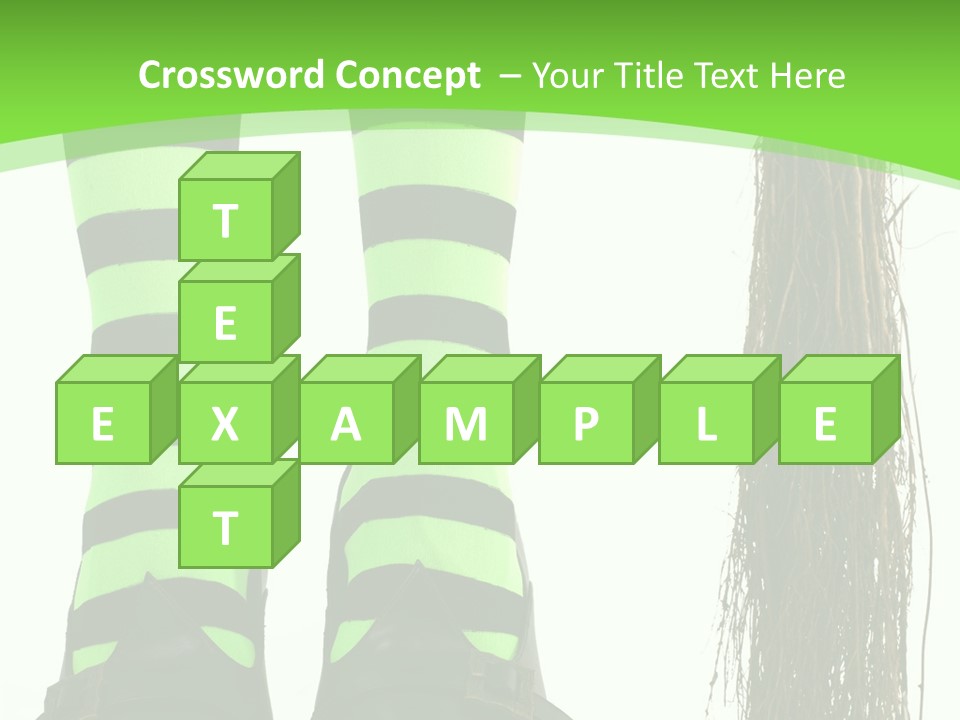 Affectionate Indoors  PowerPoint Template