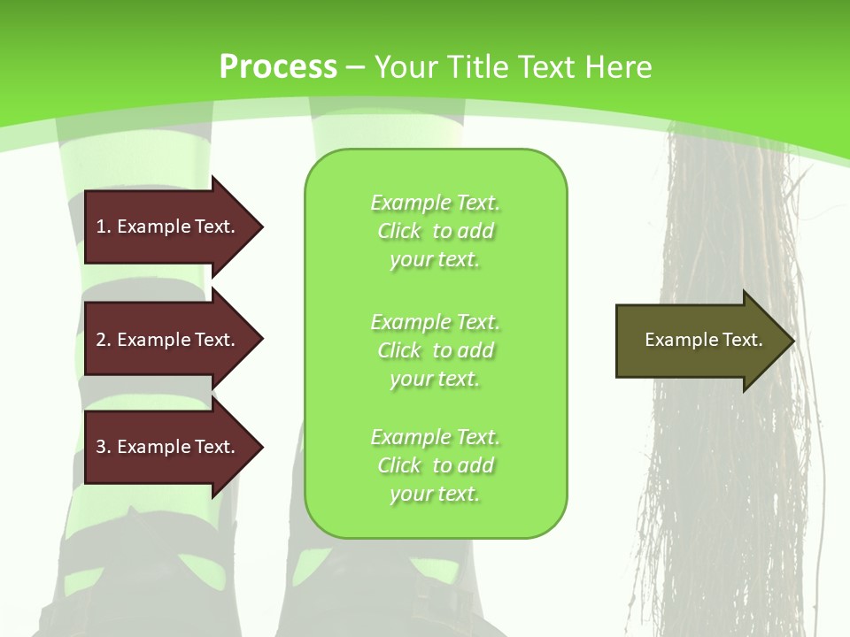 Affectionate Indoors  PowerPoint Template