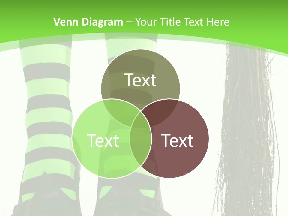 Affectionate Indoors  PowerPoint Template