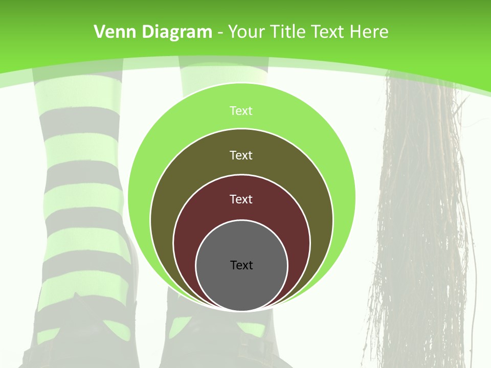 Affectionate Indoors  PowerPoint Template