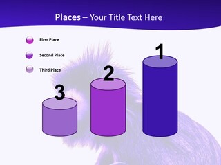 Isolated Eat Wildlife PowerPoint Template