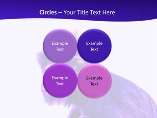 Isolated Eat Wildlife PowerPoint Template