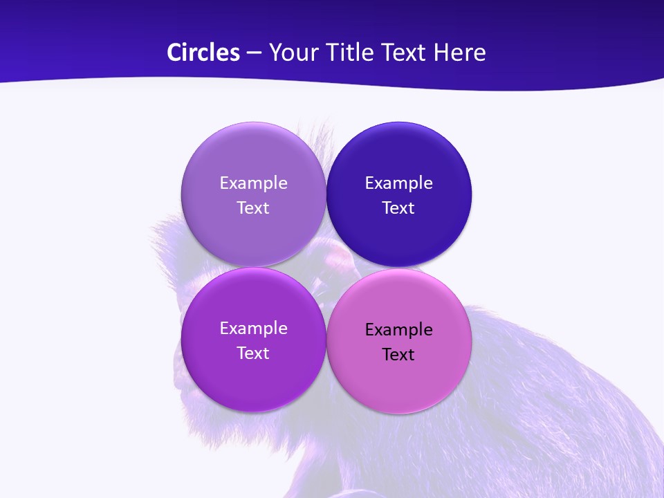Isolated Eat Wildlife PowerPoint Template