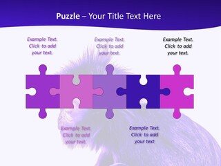 Isolated Eat Wildlife PowerPoint Template
