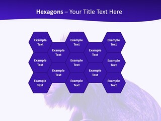 Isolated Eat Wildlife PowerPoint Template