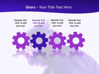 Isolated Eat Wildlife PowerPoint Template