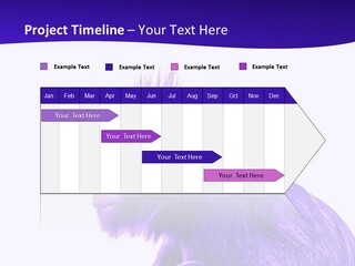 Isolated Eat Wildlife PowerPoint Template