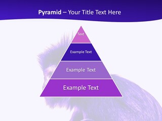Isolated Eat Wildlife PowerPoint Template