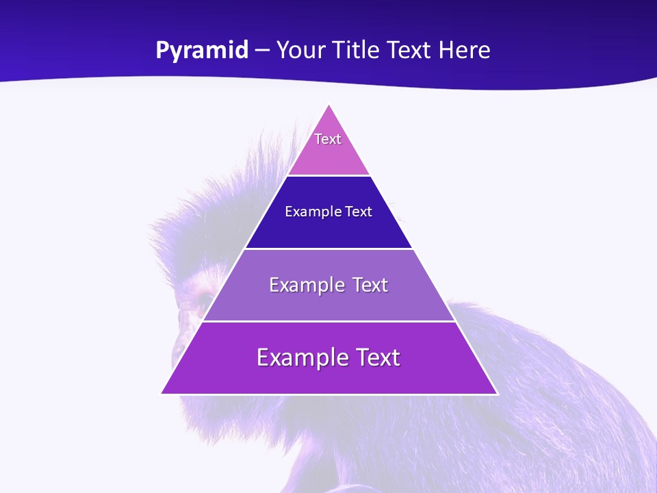 Isolated Eat Wildlife PowerPoint Template