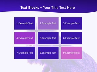 Isolated Eat Wildlife PowerPoint Template