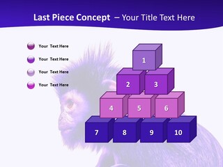 Isolated Eat Wildlife PowerPoint Template