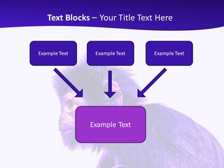 Isolated Eat Wildlife PowerPoint Template