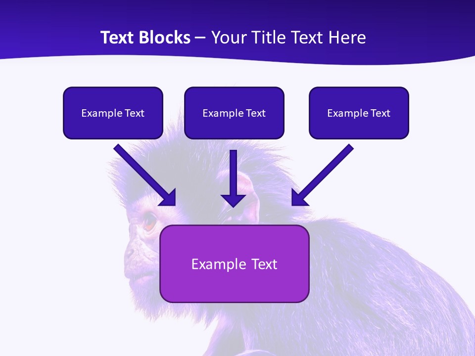 Isolated Eat Wildlife PowerPoint Template