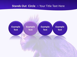 Isolated Eat Wildlife PowerPoint Template