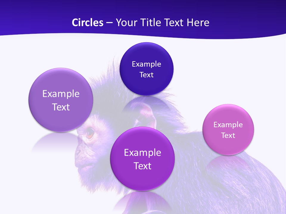 Isolated Eat Wildlife PowerPoint Template