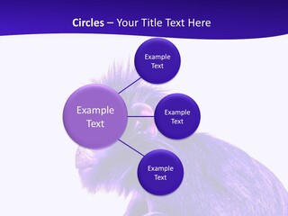 Isolated Eat Wildlife PowerPoint Template