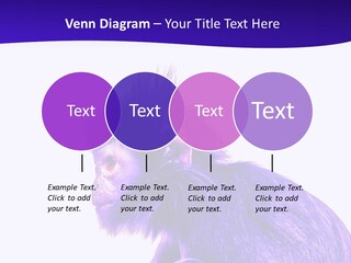 Isolated Eat Wildlife PowerPoint Template