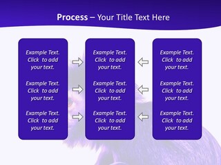 Isolated Eat Wildlife PowerPoint Template